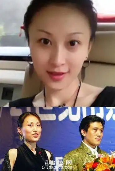 杨子的老婆是谁前妻陶虹及现任妻子黄圣依简介