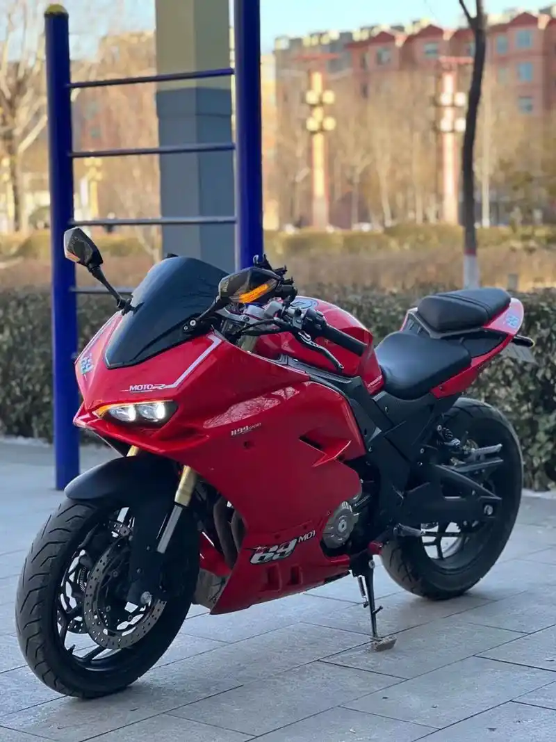 蛟龙400 2020年蛟龙400 国产杜卡迪 带牌带户正规军随时过户 行驶3000