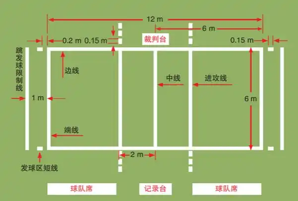 关于举行第二十三届教职工气排球比赛的通知