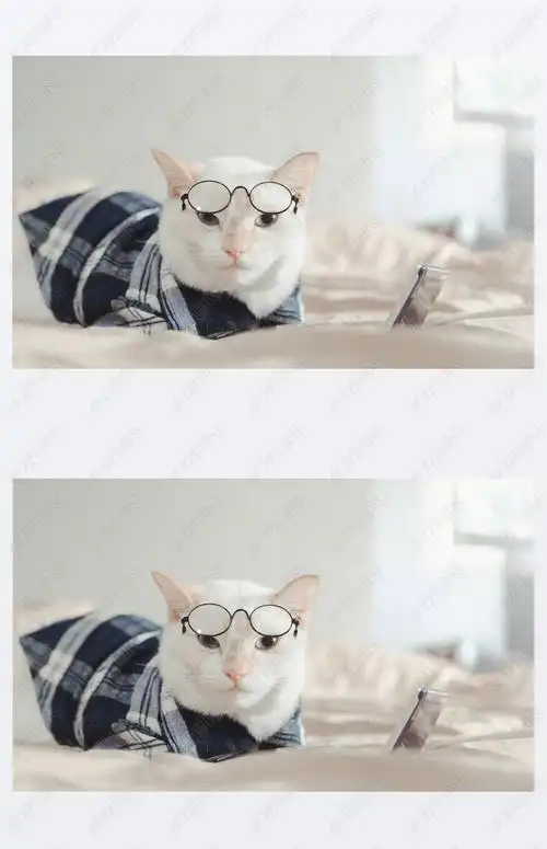 原创白猫戴眼镜的肖像,动物时尚观念.