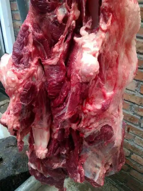 批发零售鲜驴肉新鲜驴后腿肉带皮鲜驴肉营养健康