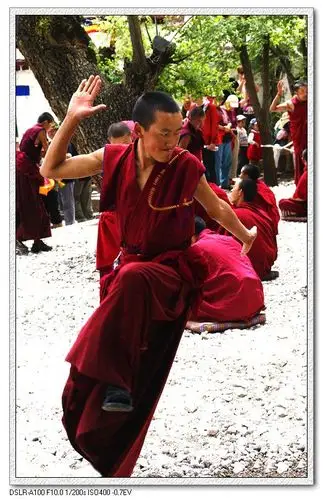 追梦西藏(55)— 色拉寺僧人辩经(2)【原创摄影】 - 小韩 - 摄快乐