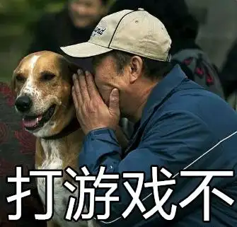 打游戏不-表情图片 - 壁纸家