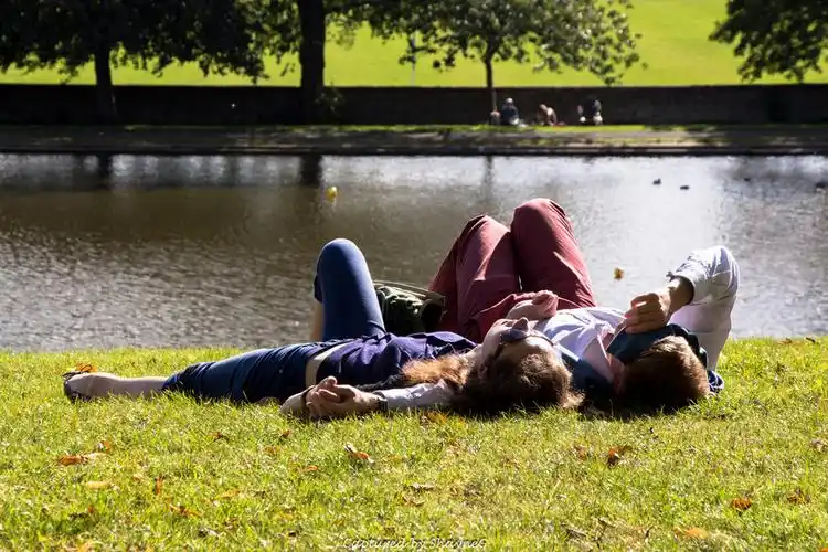 好像他们很喜欢这样躺在草地上晒太阳.inverleith park