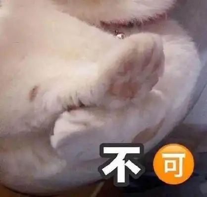 猫猫拒绝表情包用处颇多#猫咪拒绝你能有多优雅