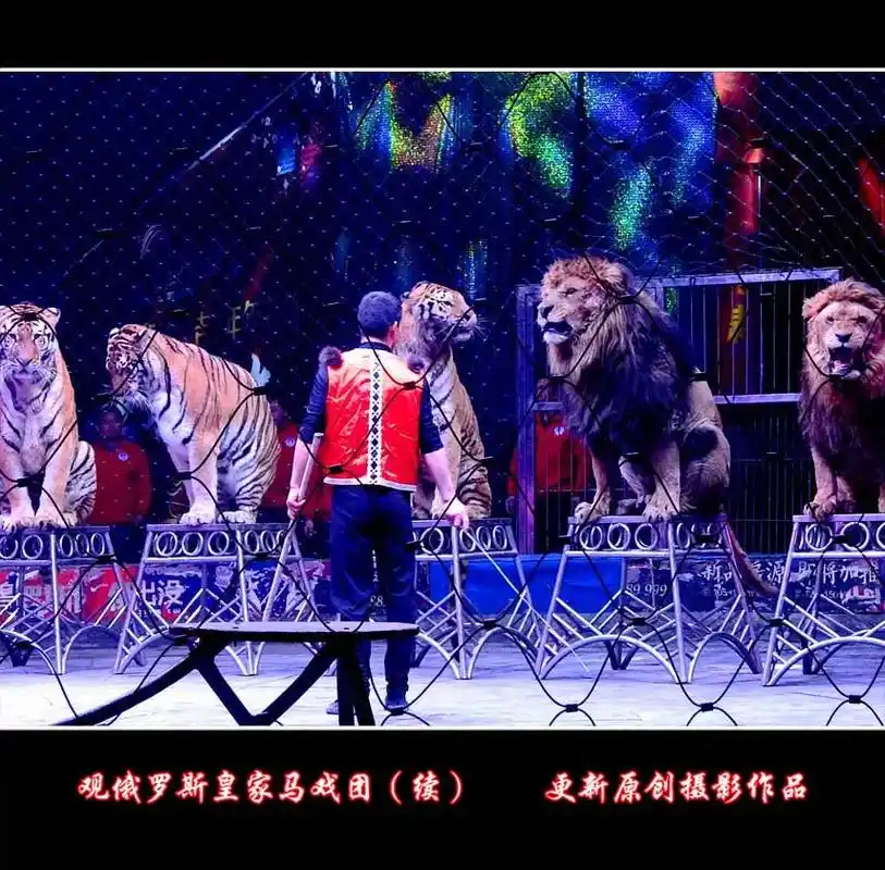 更新原创摄影作品#难忘的瞬间#观俄罗斯皇家马戏团 - 抖音