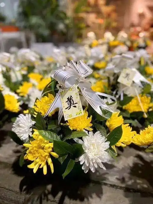 离世哀悼,哀悼亲人去世的图片-图片大观-奇异网