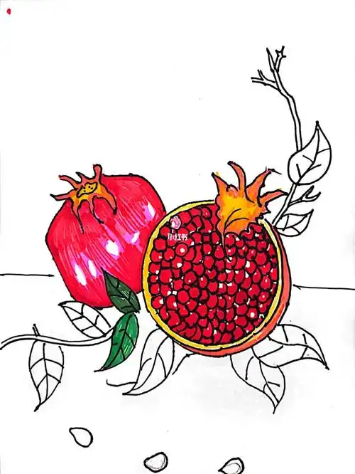 创意简笔画石榴