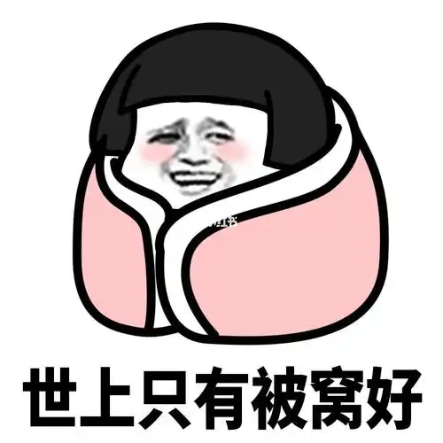 躲被窝表情包