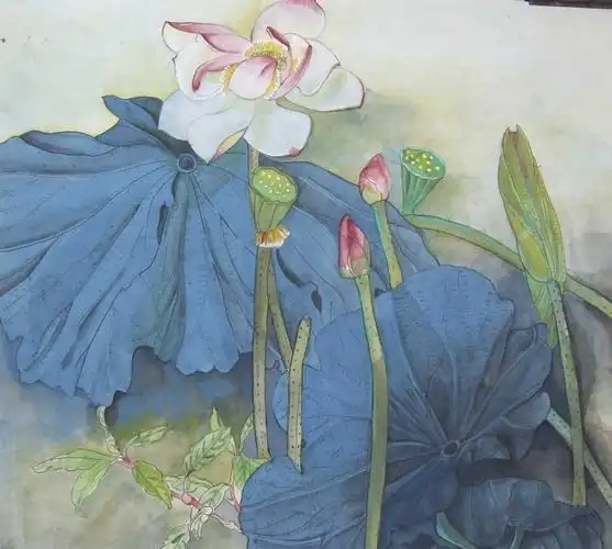 工笔荷花图