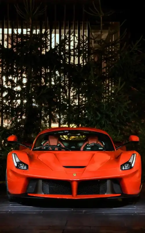 法拉利拉法图片()插图