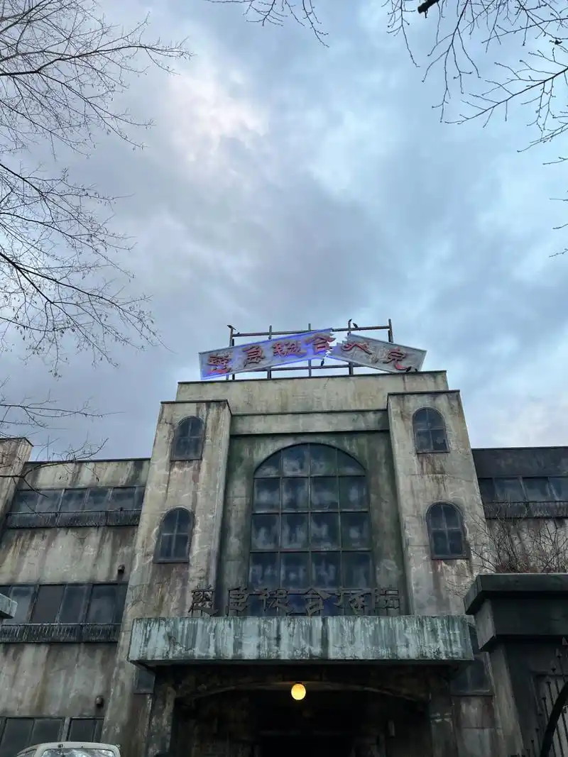 我 鬼屋过年第一人0769♀15 富士急太恐怖了t^t 坐过山车感觉