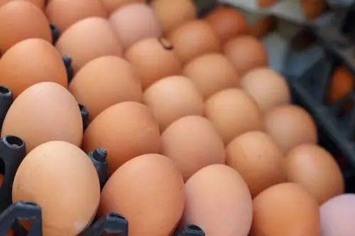 蛋,托盘,市场