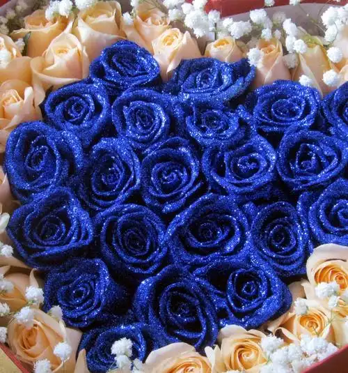 22支蓝玫瑰.28支香槟玫瑰外围.