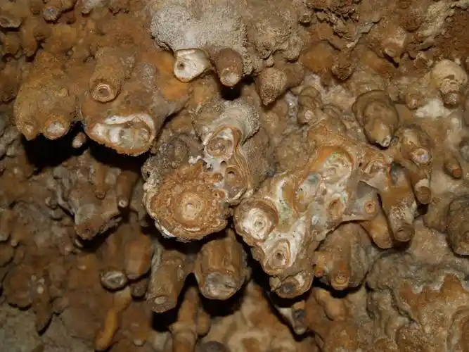 stalactite cross section