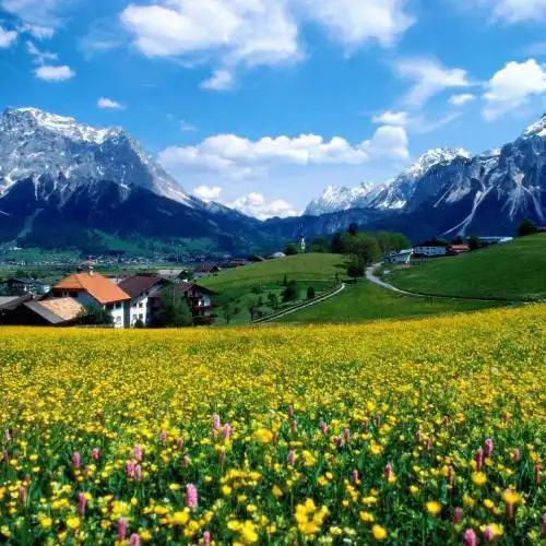 适合永久做头像的风景图片这些风景图片太美了