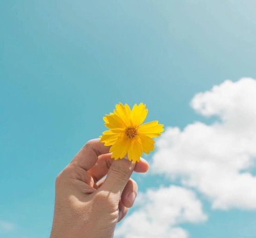 高清简约朋友圈背景图