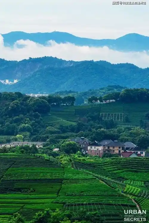 溪映听庐丨2024杭州滨江溪映听庐丨溪映听庐房价丨