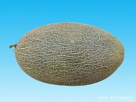 什么?天上有个哈密瓜