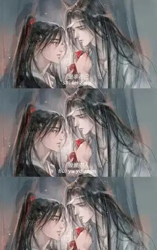 是非在己陈情令 - 堆糖,美图壁纸兴趣社区