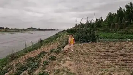 家人带金毛皮皮下河游泳,刚到河边就这样了,直接把小主人看蒙了