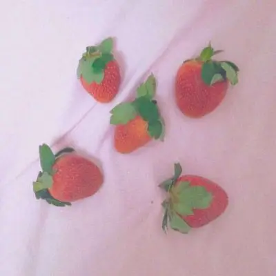 微信草莓头像图片大全 - 微信头像 - 潮人个性网