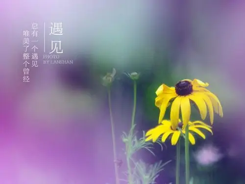 其它 盛夏,遇见最美的你 写美篇绝非偶然 总有一个遇见 唯美整个曾经