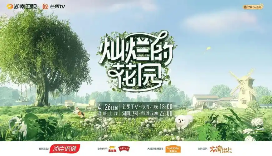 芒果再出s ,《灿烂的花园》好看在哪?