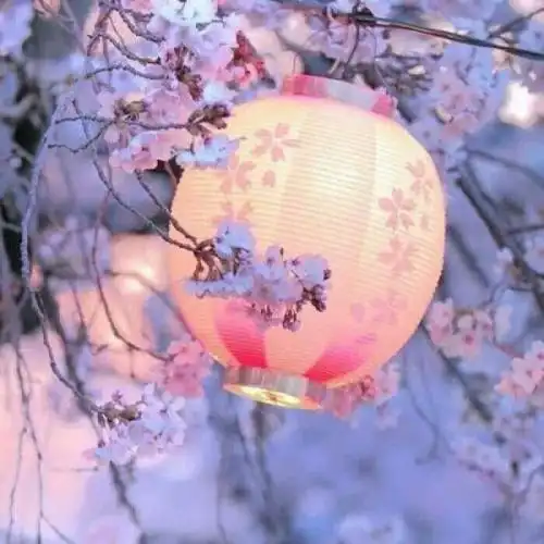 安奈 梦幻樱花背景图 我爱人的心_风景静物头像_我要个性网