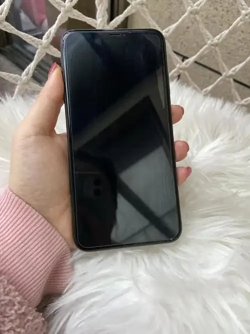 iphonexsmax 黑色256g 国行