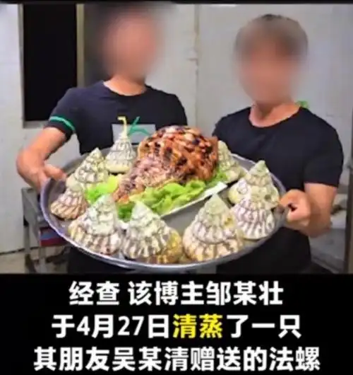 美食博主食用二级保护动物法螺?警方通报