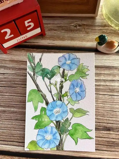 小红书绘画大神  #钢笔淡彩  #每日一画画纸:莱顿细纹300g颜料96