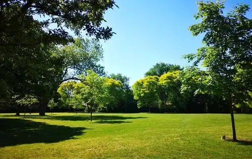 晴空万里艳阳高照,公园的草木更加艳丽,看着满眼的美景心情特别舒畅