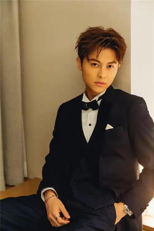 王子邱胜翊亮相电影节红毯 气度非凡引尖叫