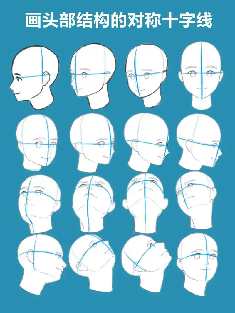 头部结构.#图文伙伴计划 #一起学画画 #美术生 #人体结构 - 抖音