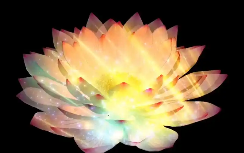 七彩莲花:如莲华智慧众蕊慈根安隐