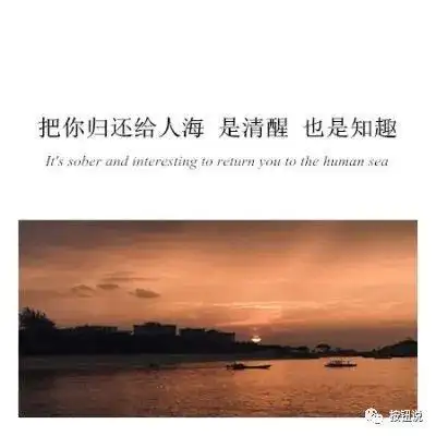 我从人海中找到你,也将你归还给人海