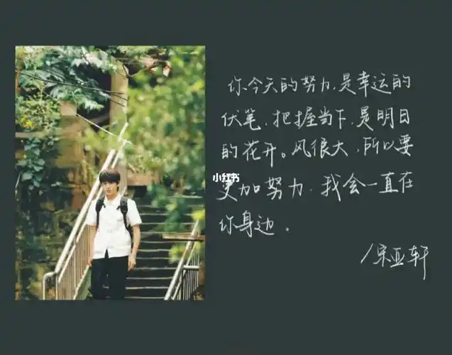 打卡  #手写摘抄  #每日摘抄  #宋亚轩一直会是宋亚轩  #宋亚轩语录