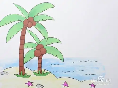 如何画椰子树植物