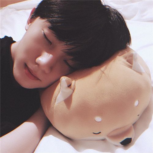 马嘉祺同款柴犬名创优品狗狗毛绒公仔抱枕miniso可爱毛绒布艺类玩具