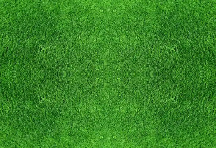 绿色草地海报背景七夕情人节图片免费下载_png素材_编号18min8r95_图