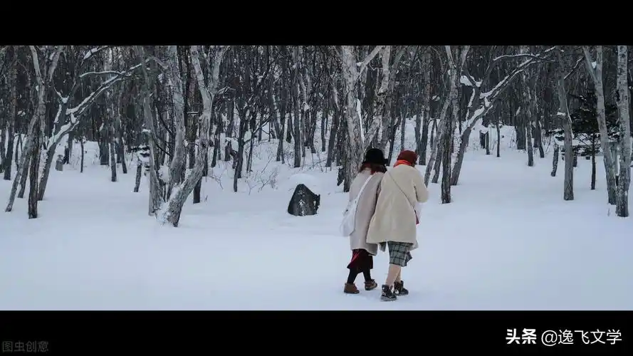 情书电影剧情结局「介绍」 _晶羽科技