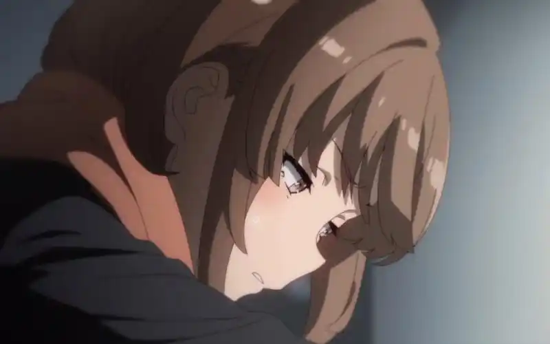 青春猪头少年不会梦到娇怜外妹(花枫)