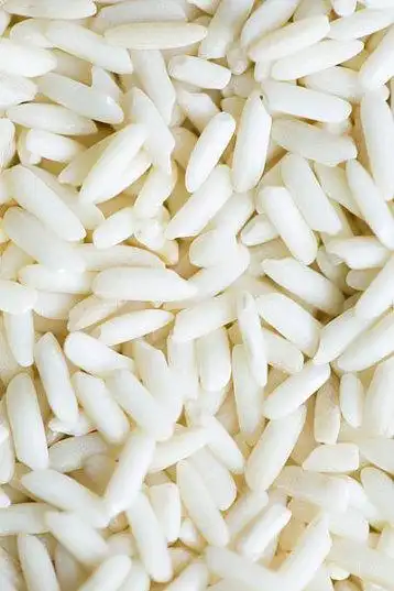 米粒图片_米粒高清图片_全景视觉