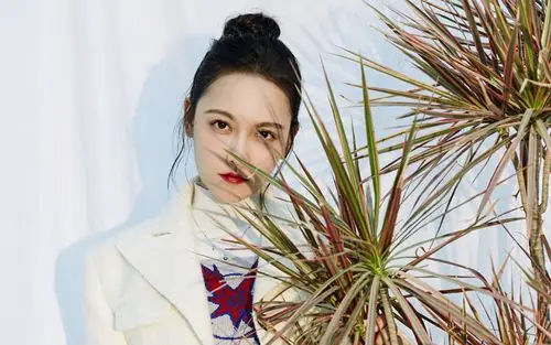 孙骁骁时尚写真图片电脑壁纸