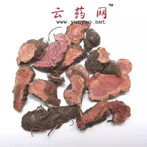 每天一味中草药拳参紫颜色的参又叫紫参清热凉血