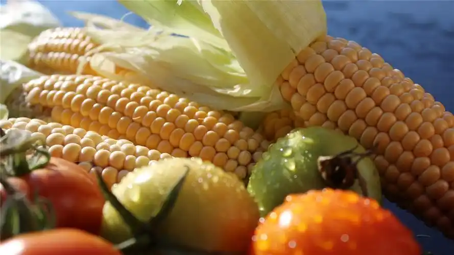 颗粒饱满的玉米高清桌面壁纸