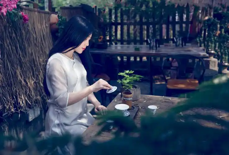 其它 茶韵 竹林静故人归 红泥小炉火初沸 人似月