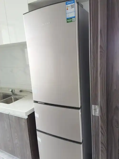 容声(ronshen)206升 三门式三开门电冰箱 小型租房宿舍 家用 节能省电