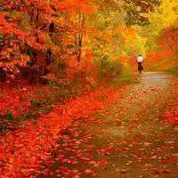 适合50岁女人风景头像_微信头像图片大全